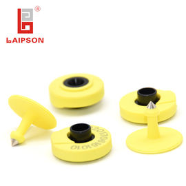 Livestock 134.2khz Pig Ear Tags Laser Printing For Smart Farm Management